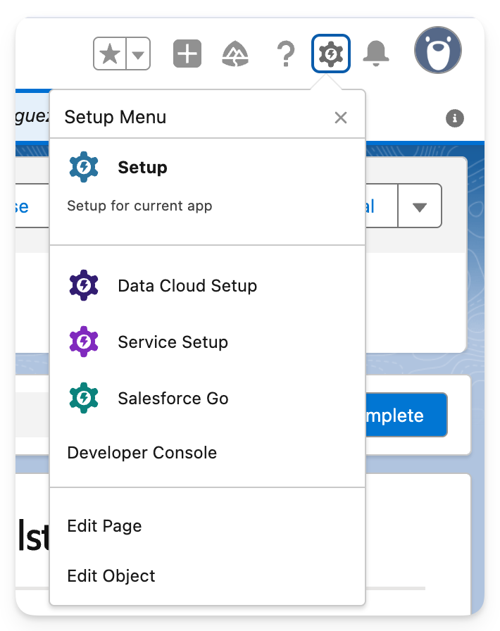 Salesforce Fullstory App - Setup Edit Page 355px